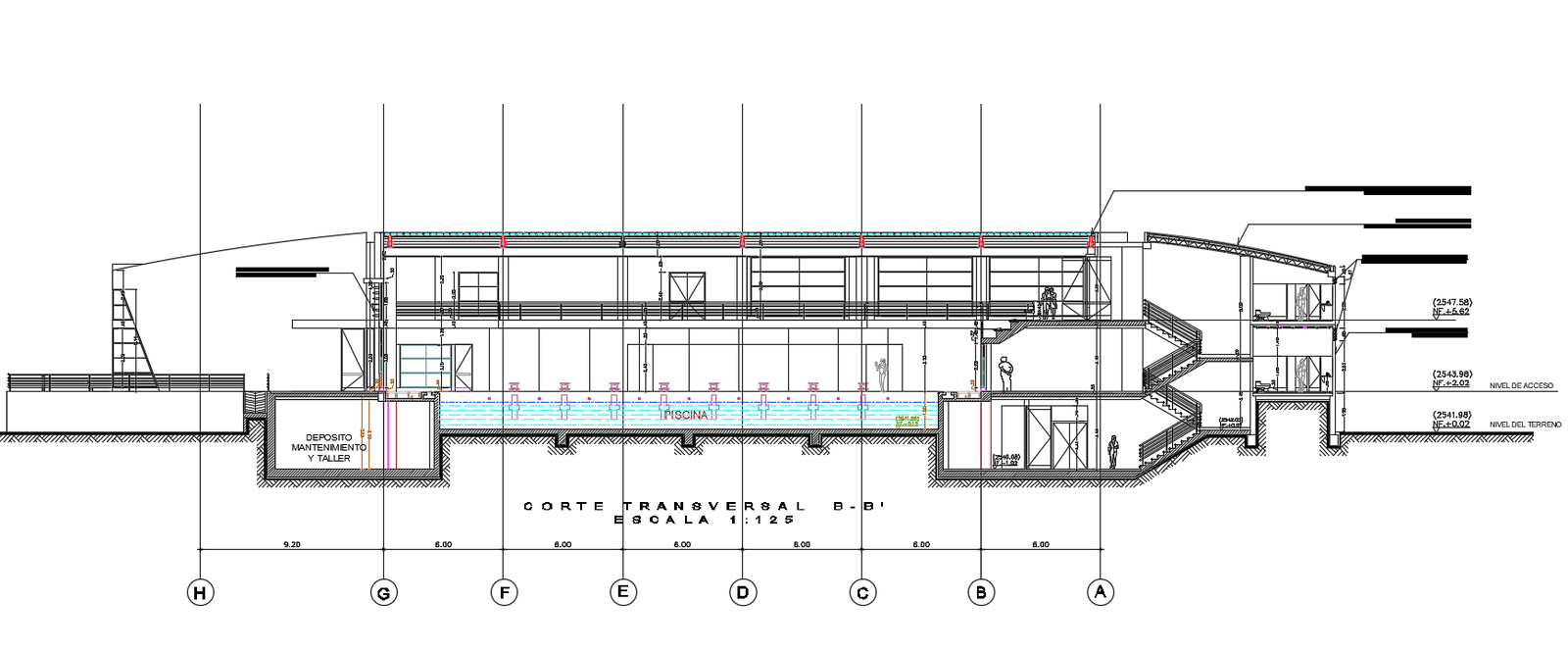 Swimming Pool With Stadium Building Section Drawing DWG File