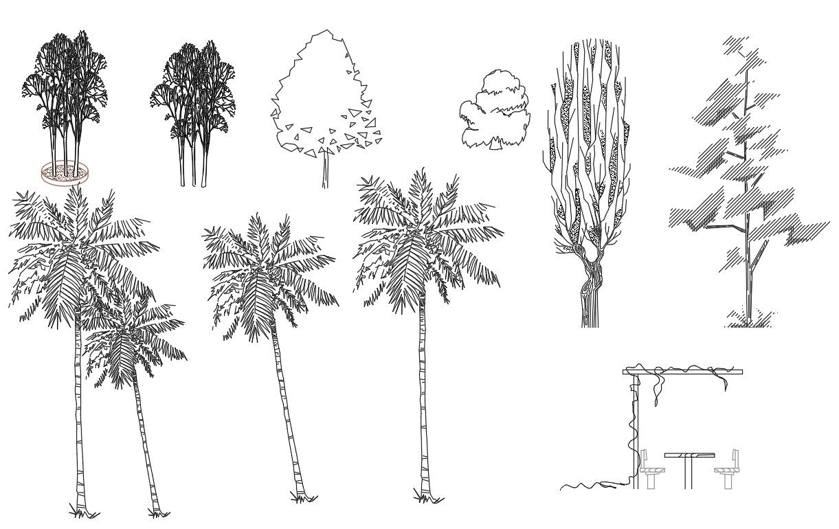 Tall Tree Blocks CAD Drawing DWG File