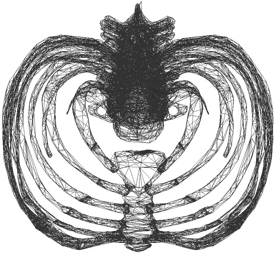 Terrific spider art for painting dwg autocad drawing .