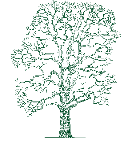 The architecture design of single tree design dwg file