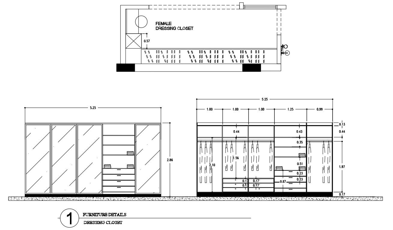 2D Furniture Layout with Closet Design in CAD Format