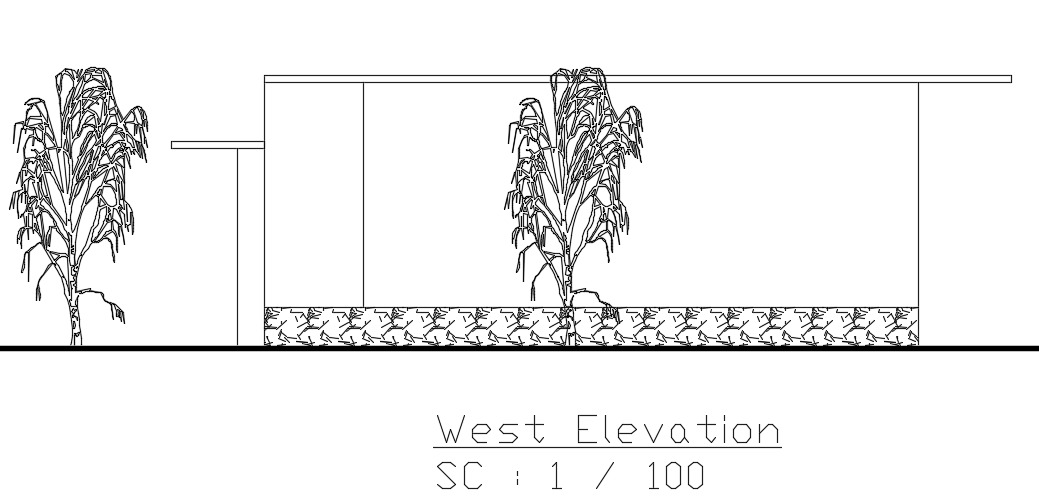 The west side elevation view of the 16x10m architecture single story house building cad drawing