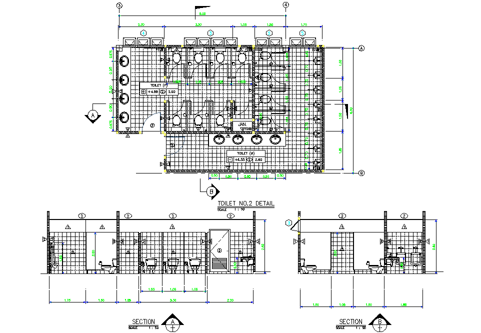 Toilet plan and section detail