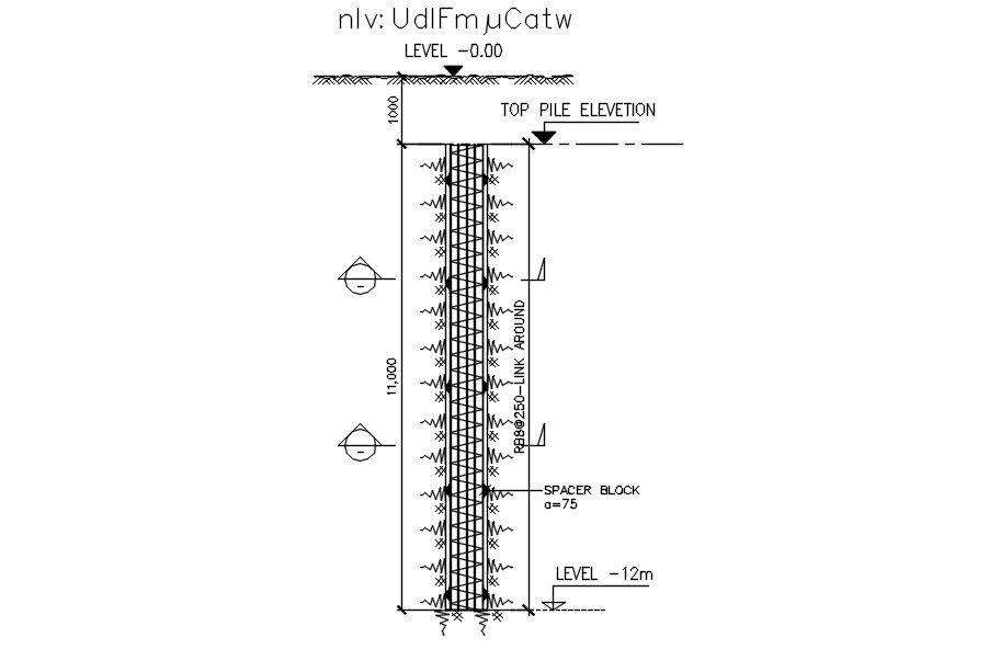 Top pile elevation design in detail AutoCAD 2D drawing, CAD file, dwg file