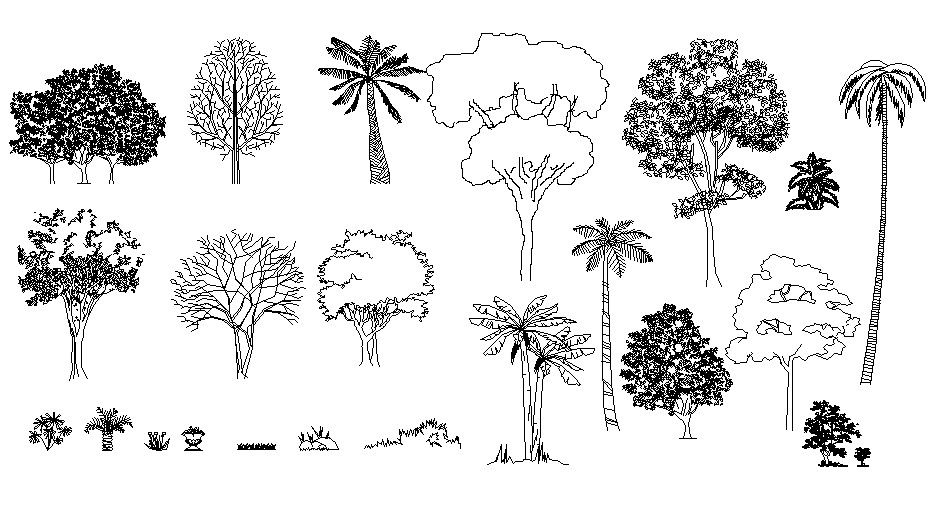Tree AutoCAD Blocks Free Download