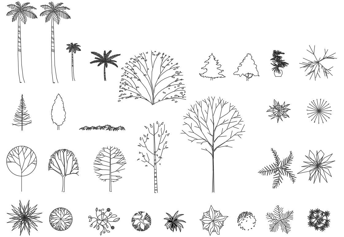 Tree CAD Block Download