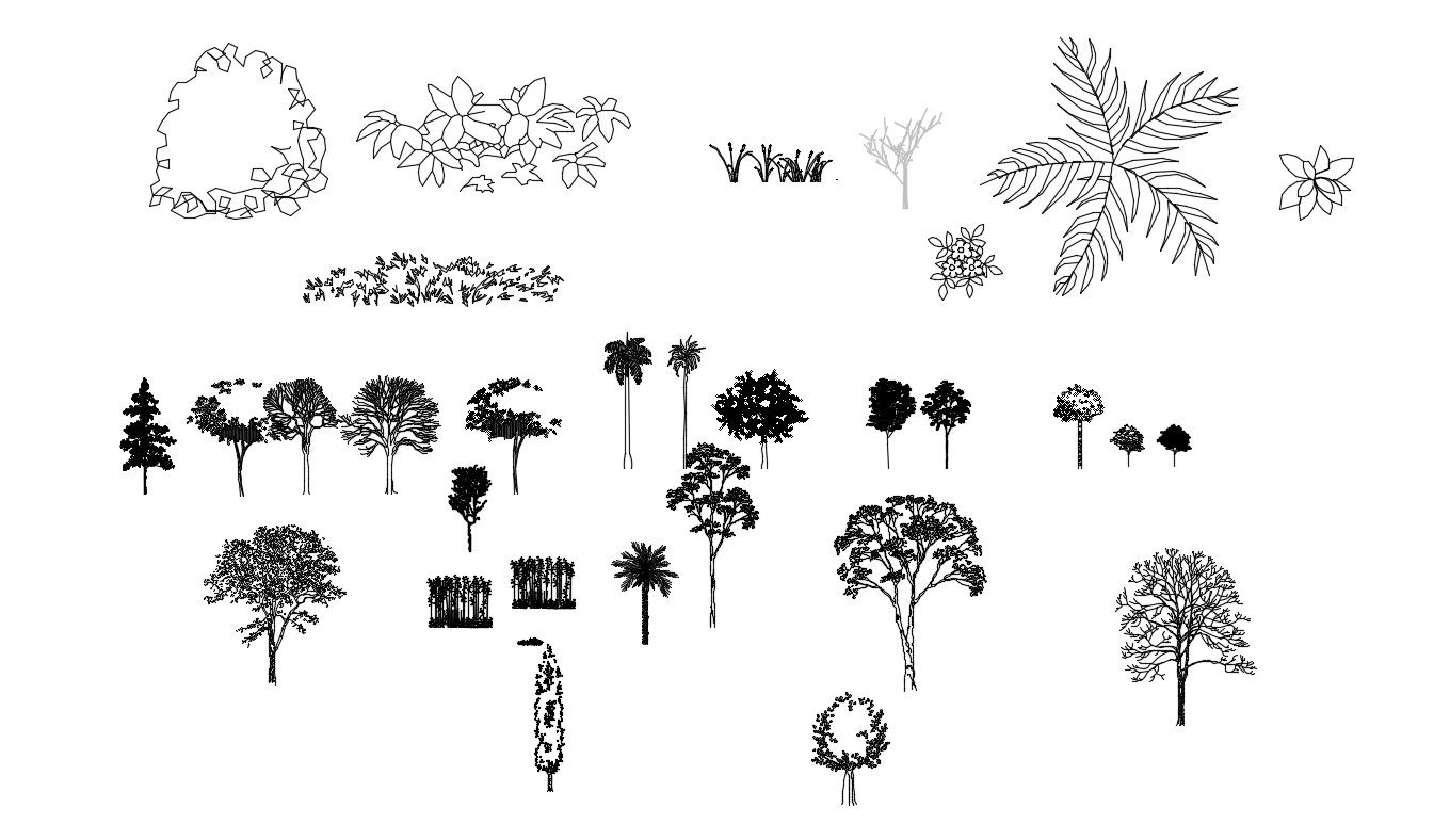 Tree Elevation Cad Block Free Download