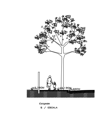 Tree 2D AutoCAD drawing is given for house garden