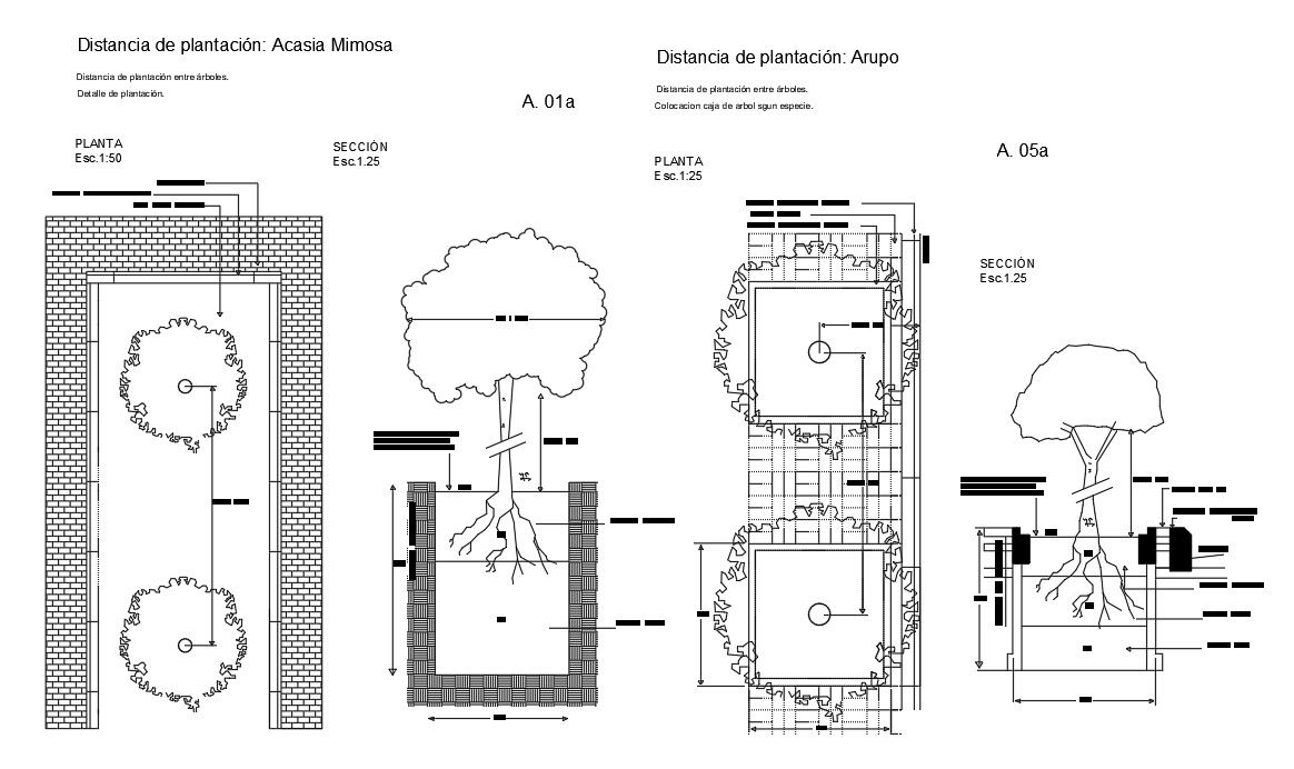 Tree Planting Plan And Section CAD Drawing Free Download DWG File