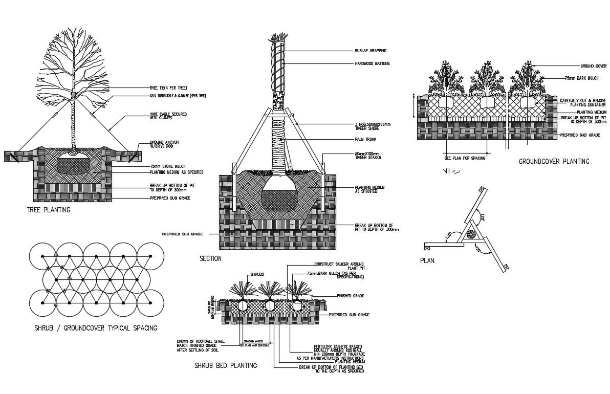 Trees Landscaping CAD Drawing
