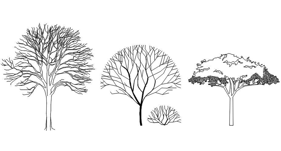 Trees and branches elevation in AutoCAD, dwg file.