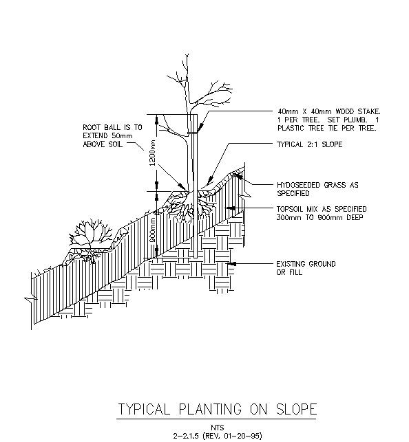 Typical Planting On Slope In AutoCAD File Download
