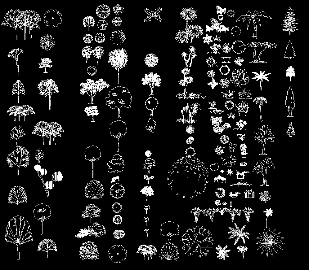Tree Plans and Elevation DWG AutoCAD File with Detailed Layouts
