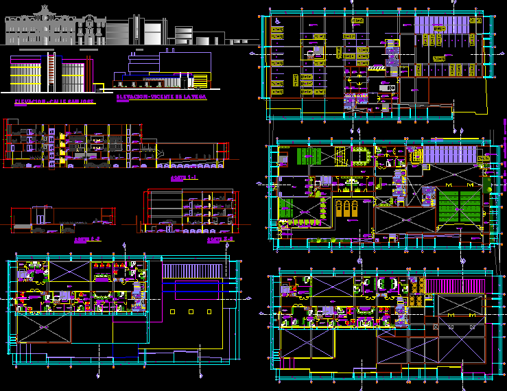 Municipal Corporation Layout AutoCAD DWG Design for Urban Planning