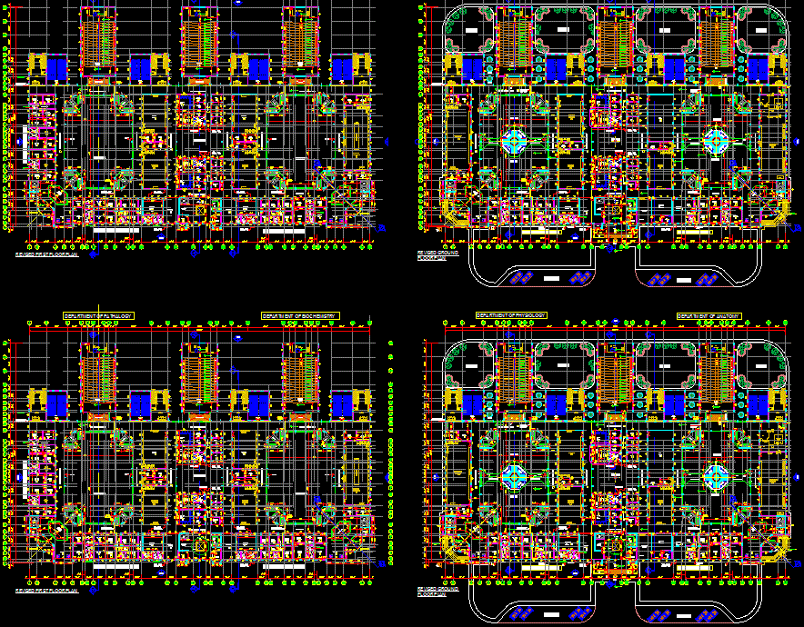 University Block DWG Layout Showing Classrooms, Labs, and Corridors