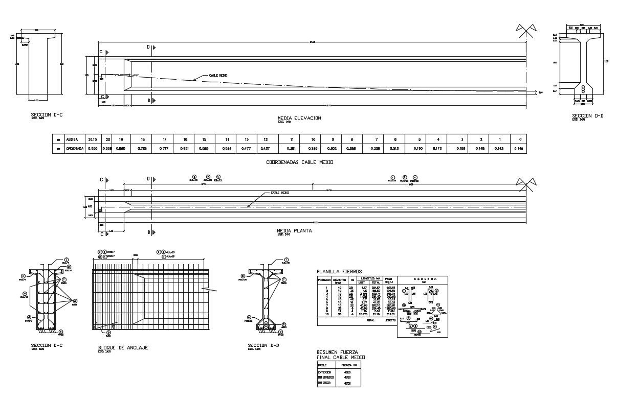 Vehicular bridge elevation, section, plan and constructive details dwg file