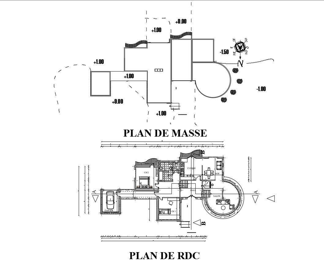 Villa House Design CAD Plan
