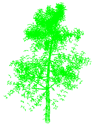 Simple 3D Tree Block