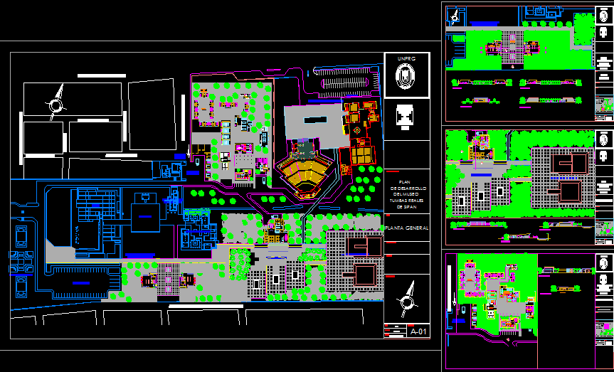 Museum Project CAD Drawing with Detailed 2D Layout and Master Plan