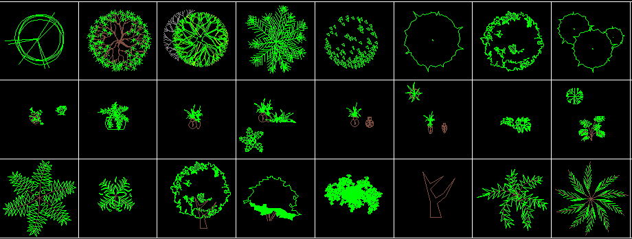 Tree Plants CAD Blocks AutoCAD DWG File with 2D Plan Layouts