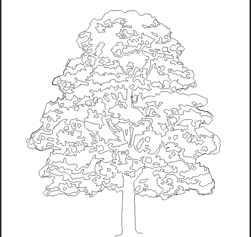 A tall tree with detailed plan dwg file.