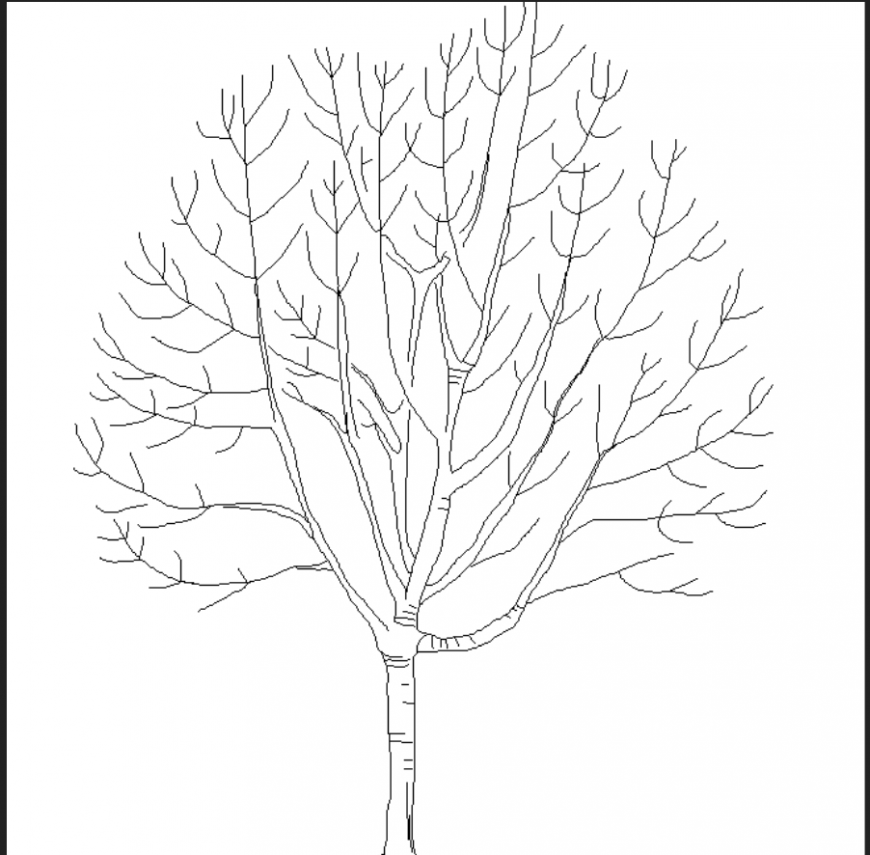 Abscission tree with detail dwg file.