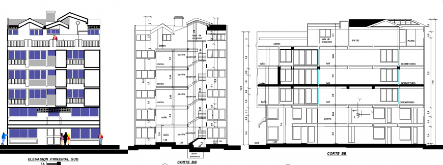 Apartment elevation and section drawing in dwg file.