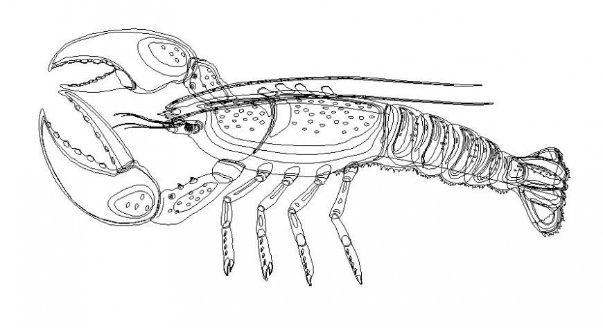 Aquatic animal units drawings details elevation autocad softwrae file
