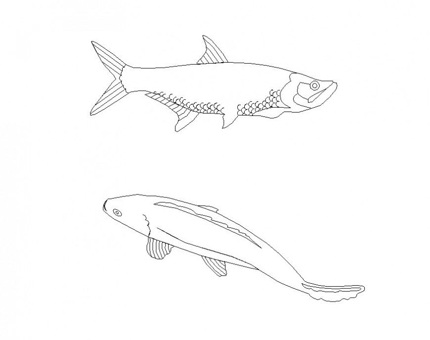 Aquatic animals detail 2d view CAD blocks layout file in autocad format