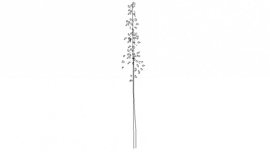 Autocad file Drawing of landscaping trees 2d view