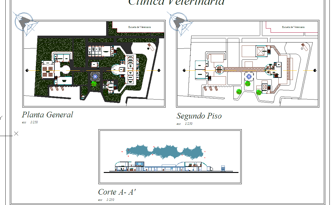 Clinic Type Of Hospital design