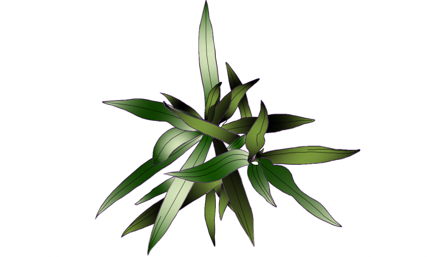 Beautiful 3d bush tree plant elevation block details dwg file