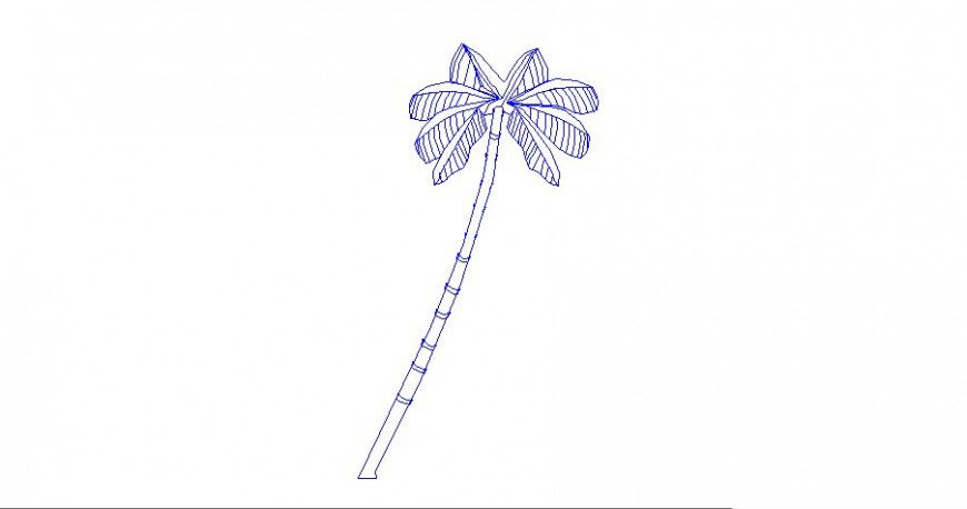 Beautiful coconut tree elevation block cad drawing details dwg file