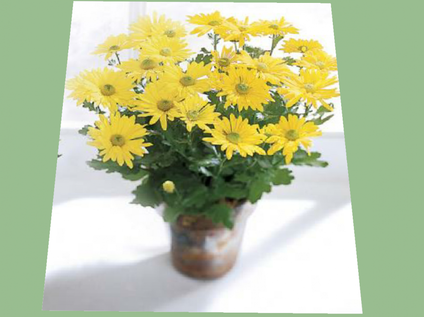 Beautiful decorative flower vase 3d model cad drawing details skp file