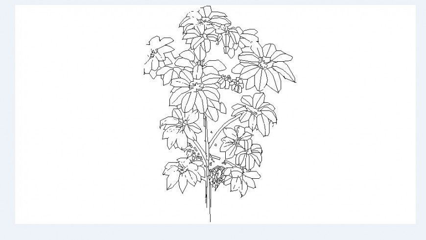 Beautiful flower tree plant elevation block cad drawing details dwg file