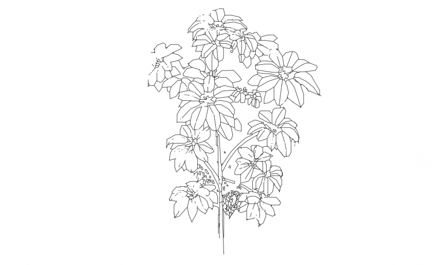 Beautiful garden flower plant elevation block drawing details dwg file