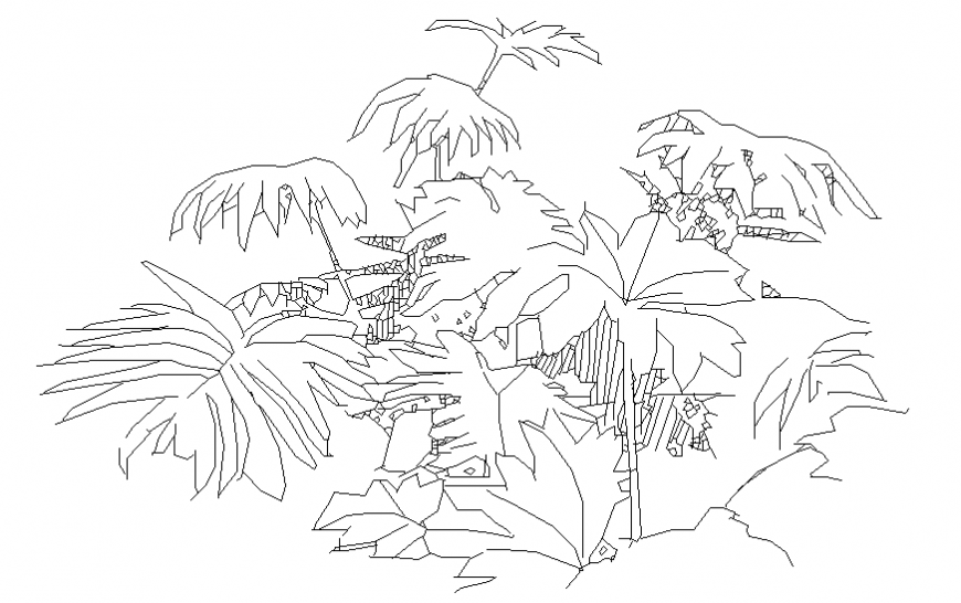 Beautiful garden tree plant elevation cad block details dwg file