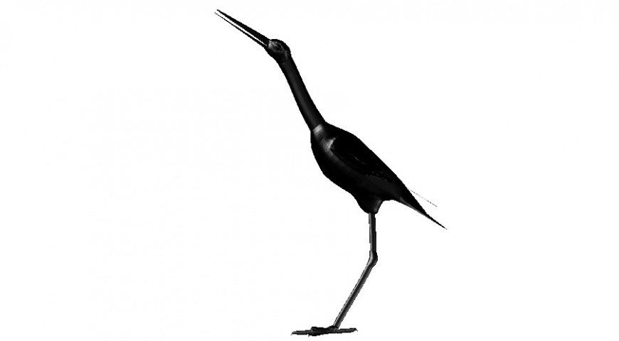 Beautiful heron bird 3d elevation block cad drawing details dwg file