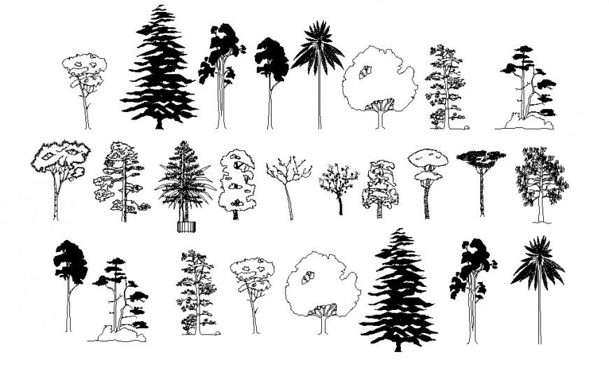 Beautiful multiple garden tree elevation blocks cad drawing details dwg file