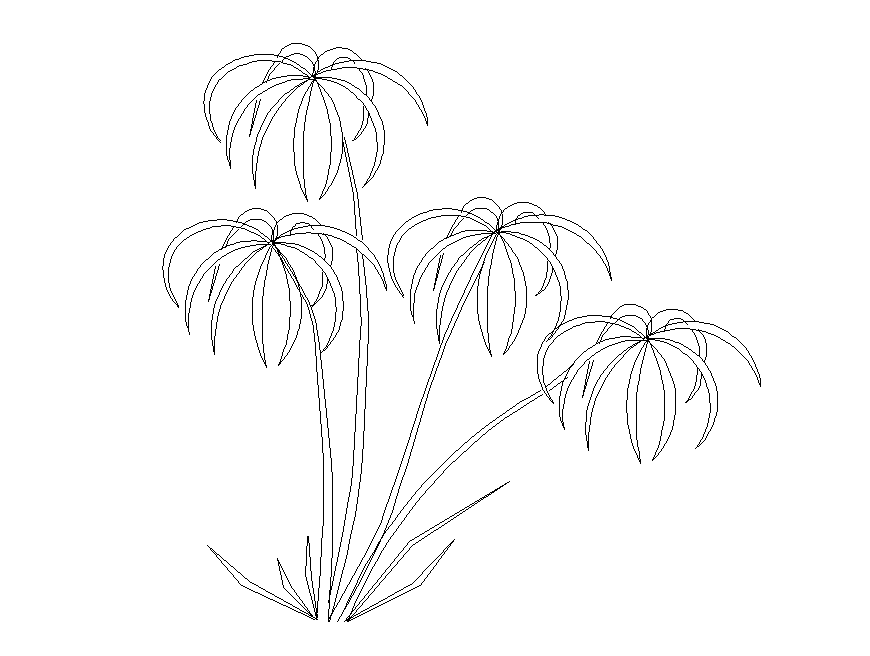 Beautiful multiple palm trees elevation cad blocks details dwg file