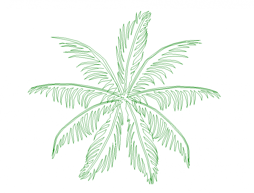 Beautiful palm tree top view elevation cad block details dwg file
