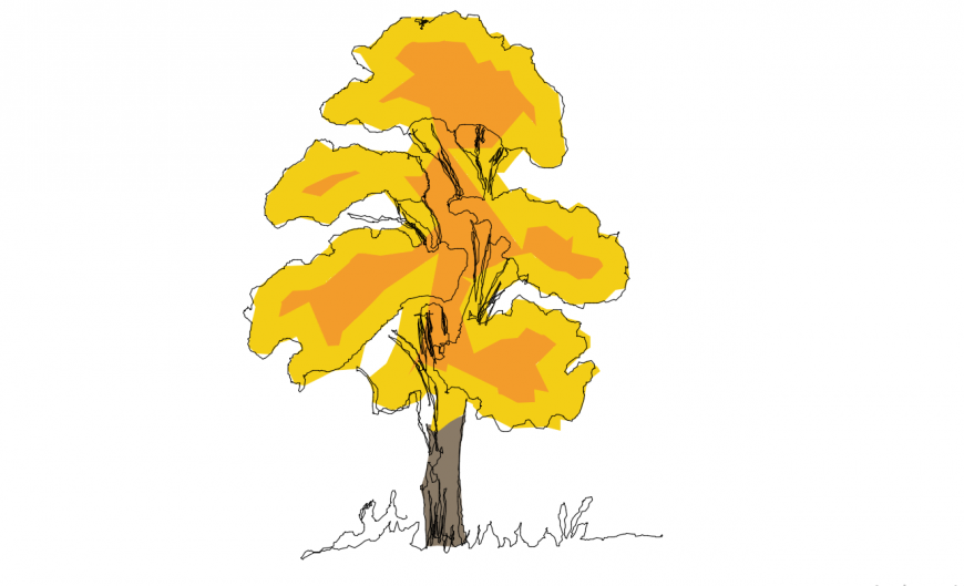 Beautiful tree color elevation block cad drawing details dwg file