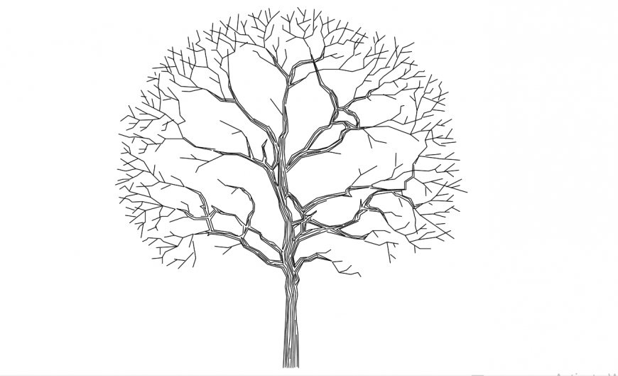 Beautiful tree elevation 2d block drawing details dwg file