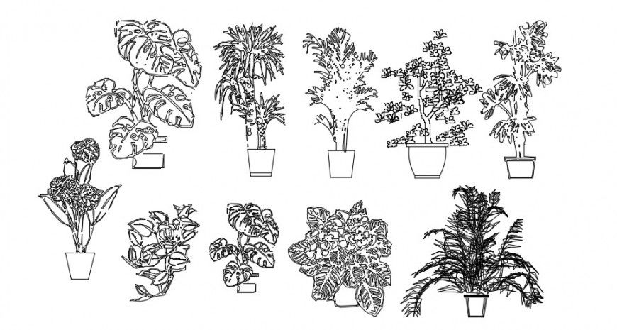 Beautiful tree plant elevation with vase cad block details dwg file
