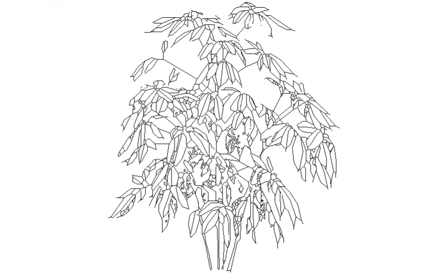 Beautiful tree plant front elevation cad block details dwg file