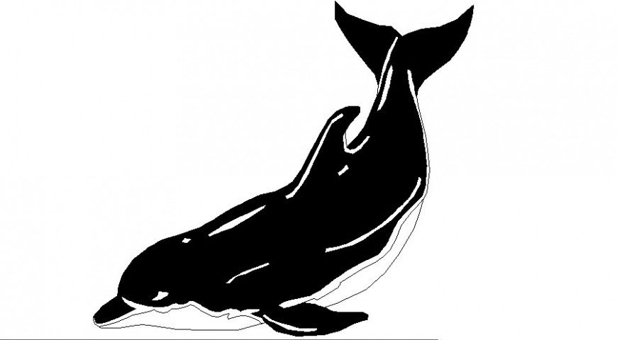 Beautiful whale fish 2d elevation block cad drawing details dwg file