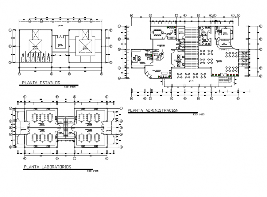 Big auditorium training center layout plan dwg file