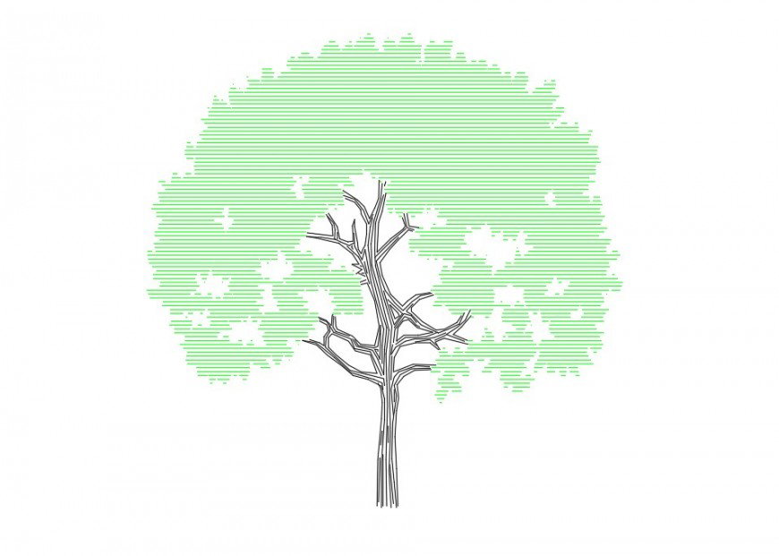 Big tree front elevation detail dwg file
