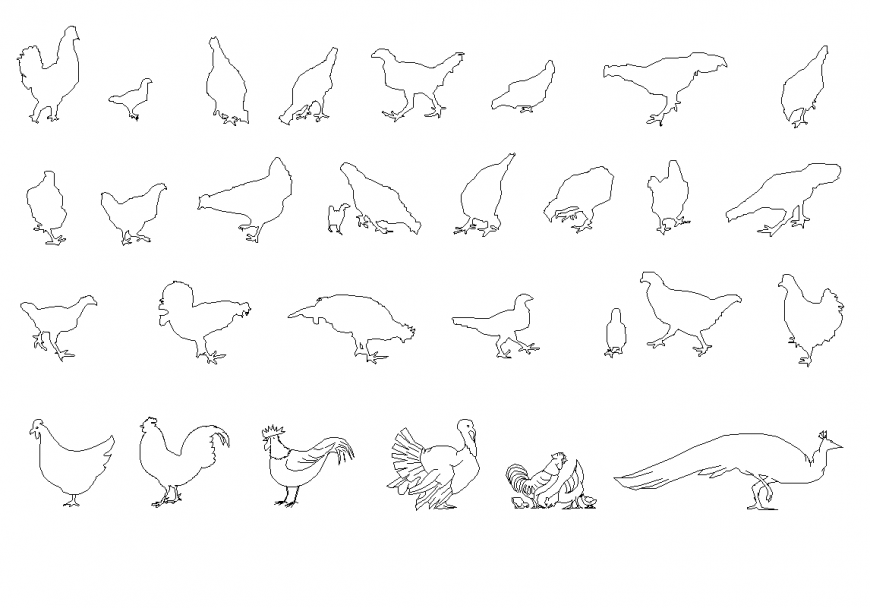 Birds set plan autocad file