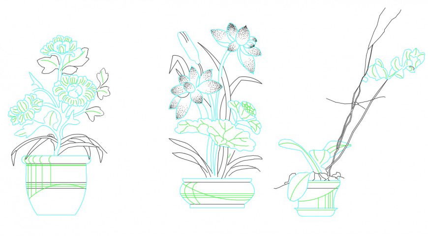 Bonsai elevation plan layout file
